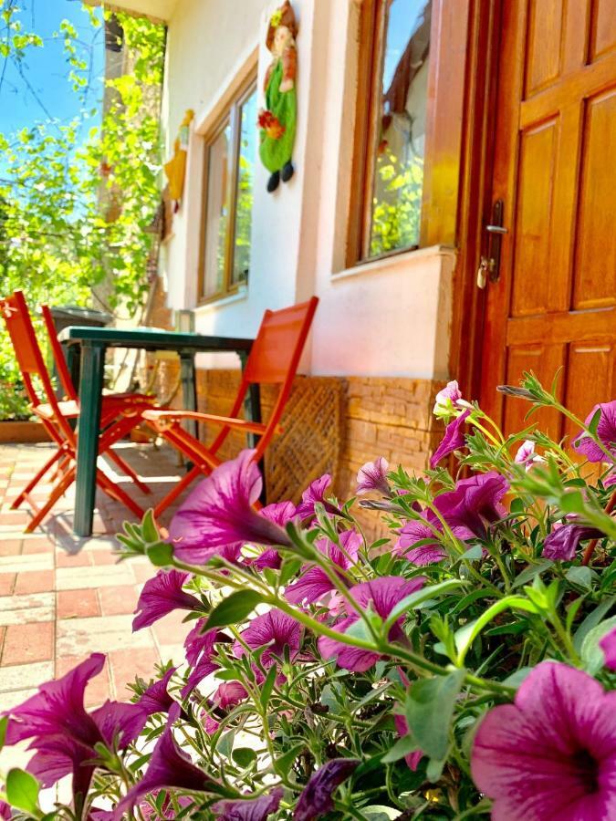 Grinda House - City Center Park And Stay บราชอฟ ภายนอก รูปภาพ